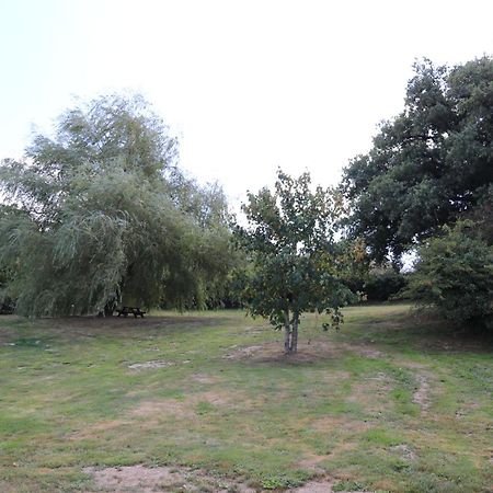 Domaine O Cedre Bleu Villa Rullac-Saint-Cirq Exteriör bild