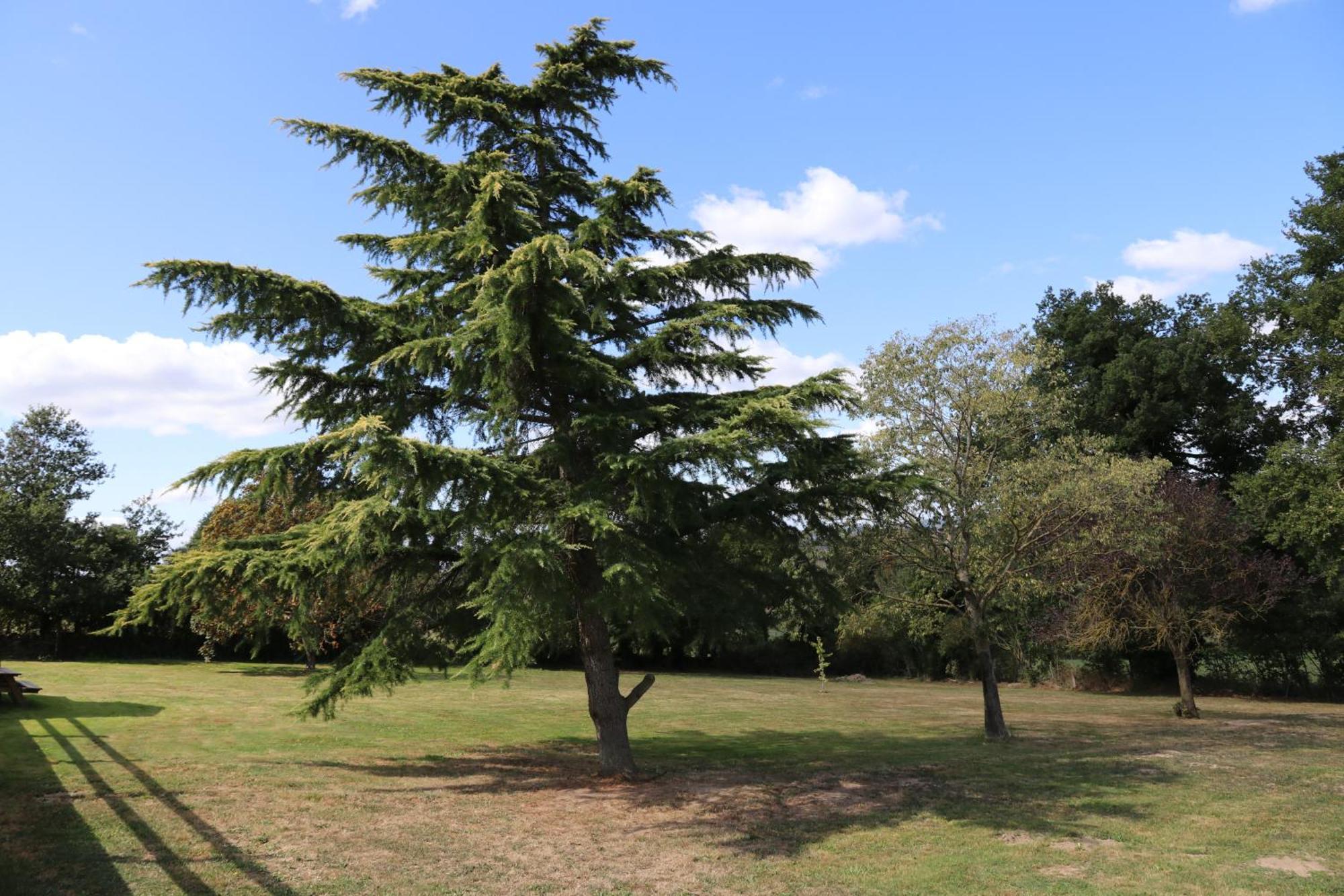 Domaine O Cedre Bleu Villa Rullac-Saint-Cirq Exteriör bild